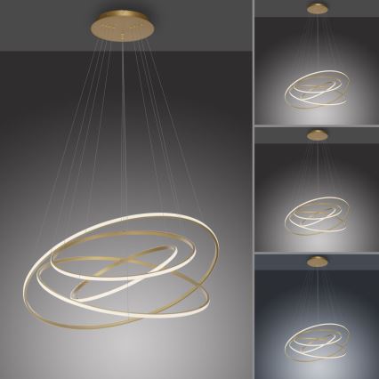 Paul Neuhaus 2124-60 - LED pendel dæmpbar TESSARA LED/97W/230V 2700-5000K + fjernbetjening