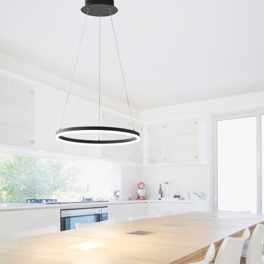 Paul Neuhaus 2381-13 - LED pendel dæmpbar TITUS LED/28W/230V