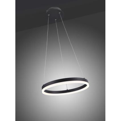 Paul Neuhaus 2381-13 - LED pendel dæmpbar TITUS LED/28W/230V