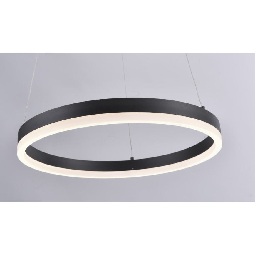 Paul Neuhaus 2381-13 - LED pendel dæmpbar TITUS LED/28W/230V