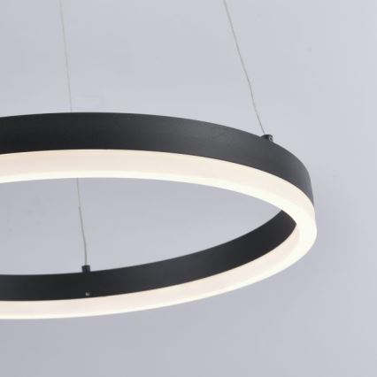 Paul Neuhaus 2381-13 - LED pendel dæmpbar TITUS LED/28W/230V