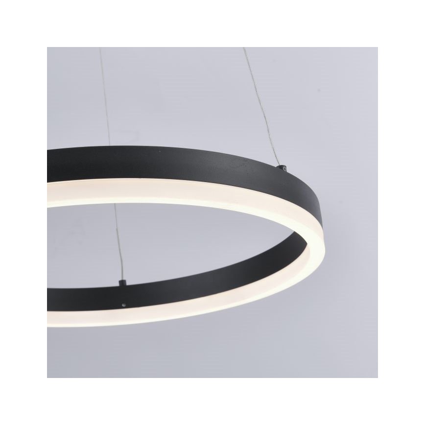 Paul Neuhaus 2381-13 - LED pendel dæmpbar TITUS LED/28W/230V