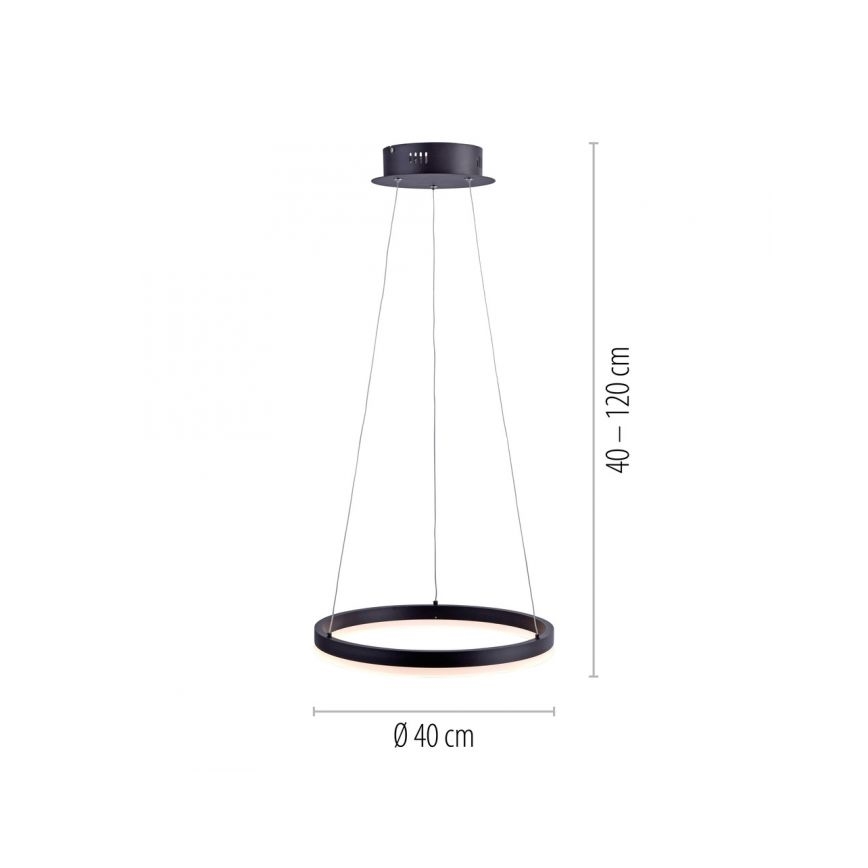 Paul Neuhaus 2381-13 - LED pendel dæmpbar TITUS LED/28W/230V