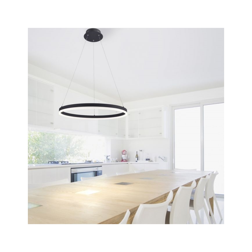Paul Neuhaus 2382-13 - LED pendel dæmpbar TITUS LED/38,5W/230V