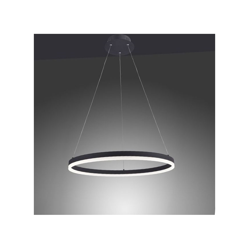 Paul Neuhaus 2382-13 - LED pendel dæmpbar TITUS LED/38,5W/230V
