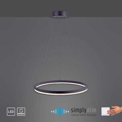Paul Neuhaus 2382-13 - LED pendel dæmpbar TITUS LED/38,5W/230V