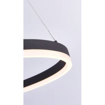 Paul Neuhaus 2382-13 - LED pendel dæmpbar TITUS LED/38,5W/230V