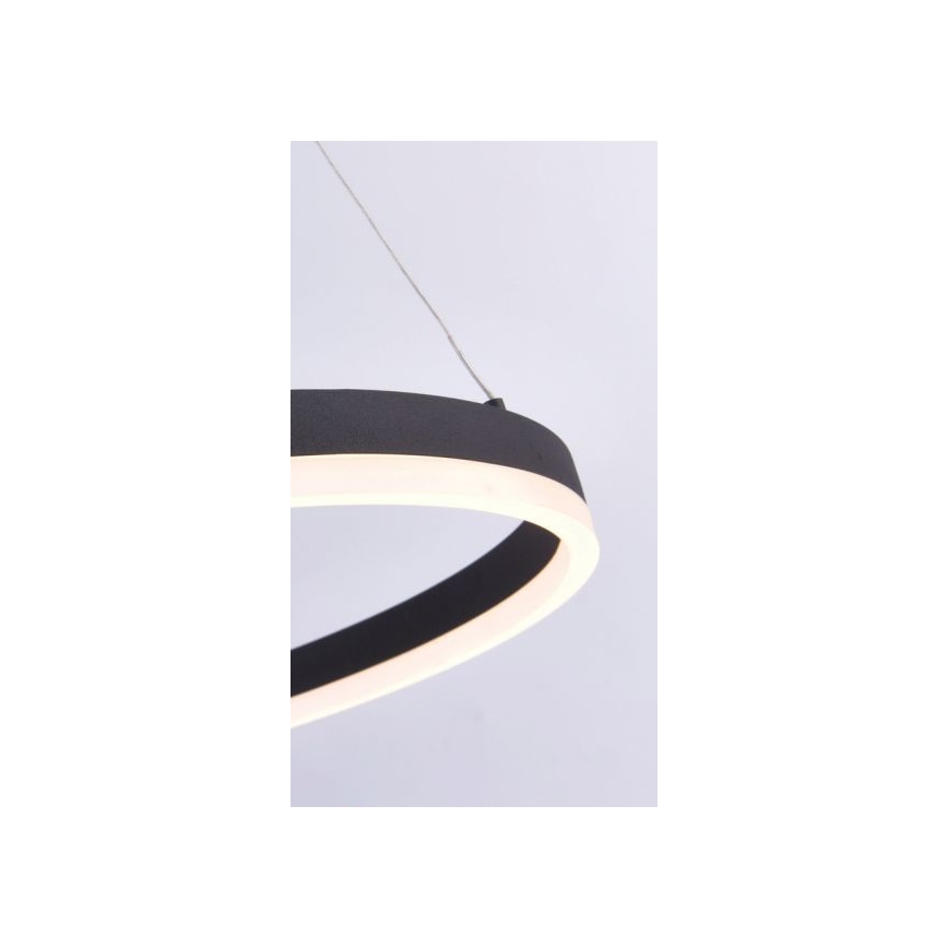 Paul Neuhaus 2382-13 - LED pendel dæmpbar TITUS LED/38,5W/230V
