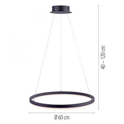 Paul Neuhaus 2382-13 - LED pendel dæmpbar TITUS LED/38,5W/230V
