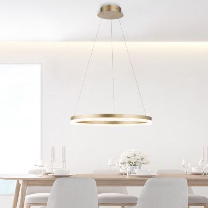Paul Neuhaus 2382-60 - LED pendel dæmpbar TITUS LED/38,5W/230V