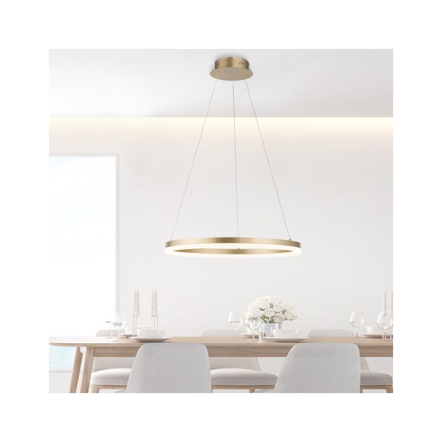 Paul Neuhaus 2382-60 - LED pendel dæmpbar TITUS LED/38,5W/230V