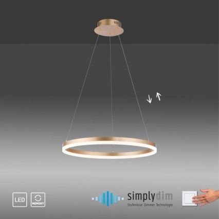 Paul Neuhaus 2382-60 - LED pendel dæmpbar TITUS LED/38,5W/230V