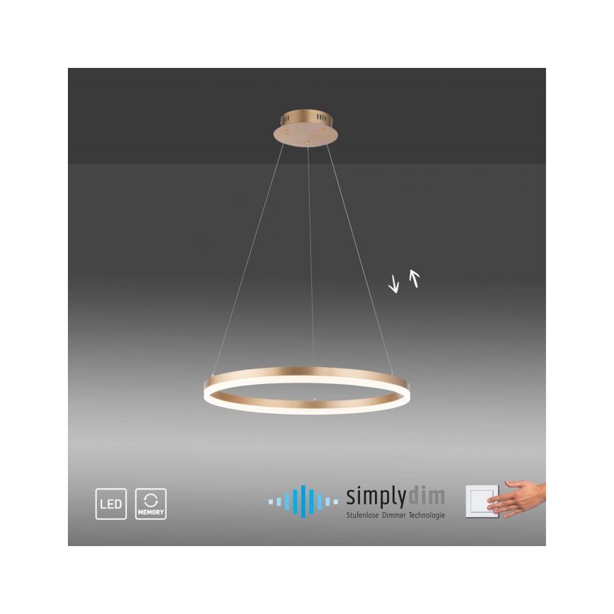 Paul Neuhaus 2382-60 - LED pendel dæmpbar TITUS LED/38,5W/230V