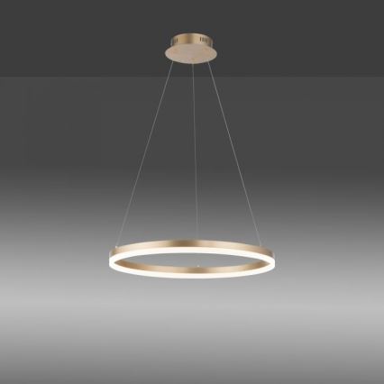 Paul Neuhaus 2382-60 - LED pendel dæmpbar TITUS LED/38,5W/230V