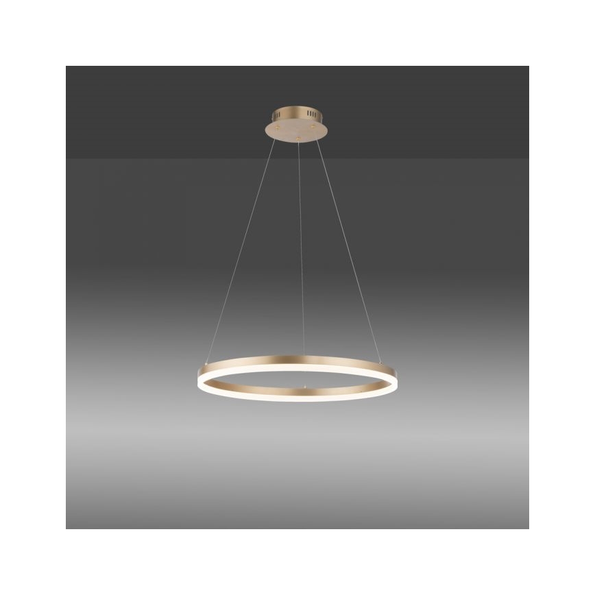 Paul Neuhaus 2382-60 - LED pendel dæmpbar TITUS LED/38,5W/230V