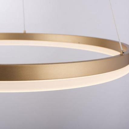 Paul Neuhaus 2382-60 - LED pendel dæmpbar TITUS LED/38,5W/230V