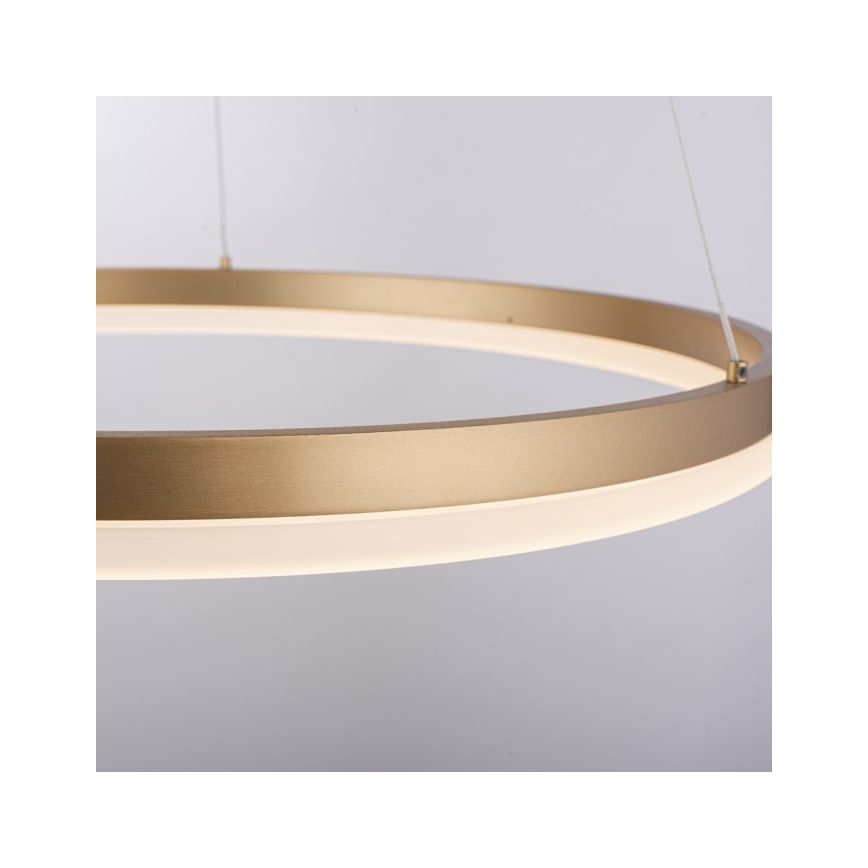Paul Neuhaus 2382-60 - LED pendel dæmpbar TITUS LED/38,5W/230V