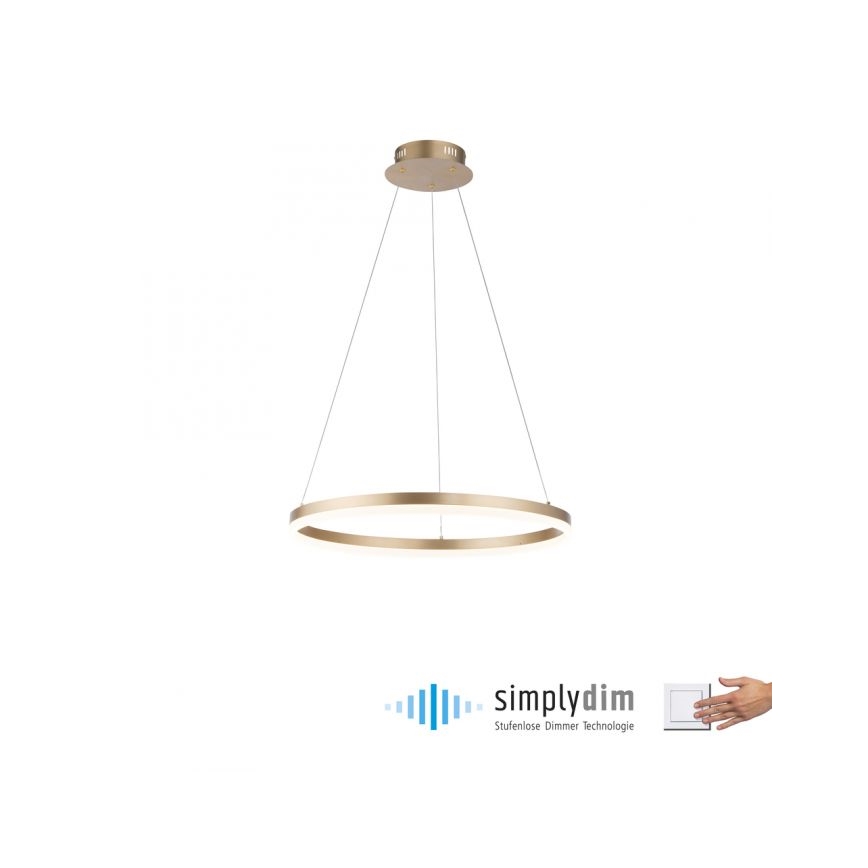 Paul Neuhaus 2382-60 - LED pendel dæmpbar TITUS LED/38,5W/230V