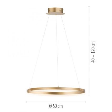 Paul Neuhaus 2382-60 - LED pendel dæmpbar TITUS LED/38,5W/230V