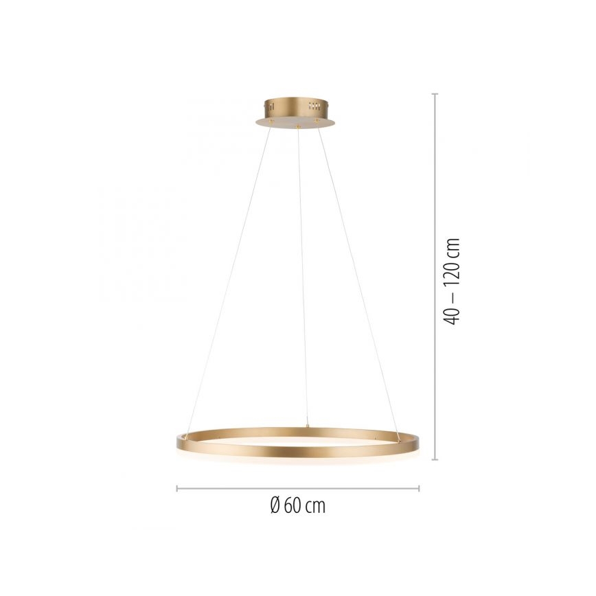 Paul Neuhaus 2382-60 - LED pendel dæmpbar TITUS LED/38,5W/230V