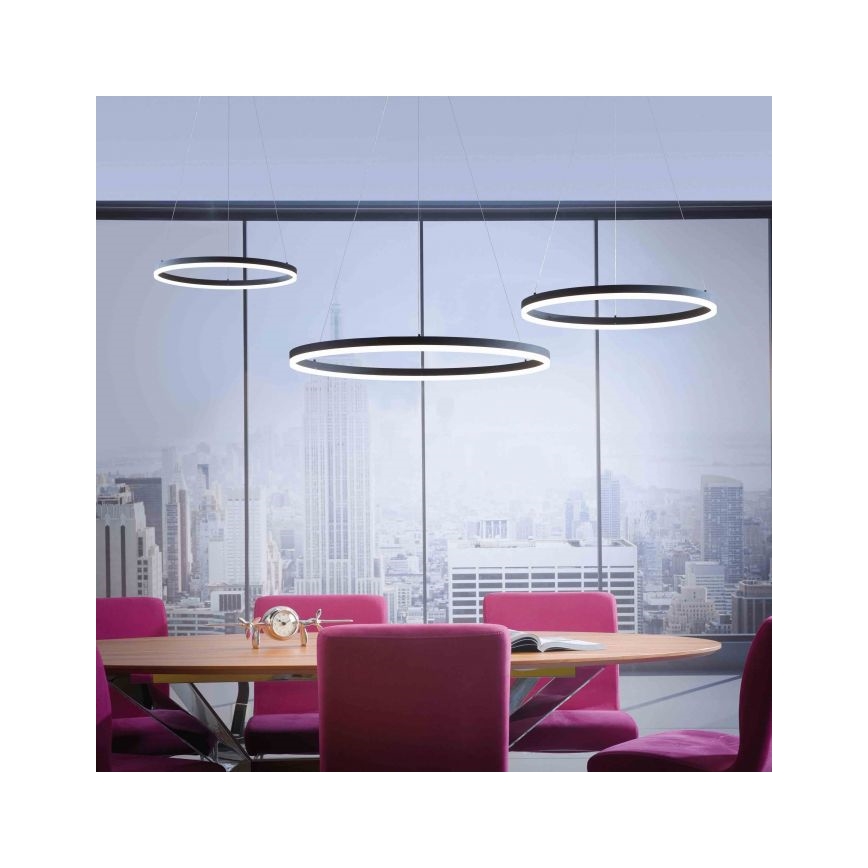 Paul Neuhaus 2383-13 - LED pendel dæmpbar TITUS LED/50W/230V