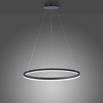 Paul Neuhaus 2383-13 - LED pendel dæmpbar TITUS LED/50W/230V