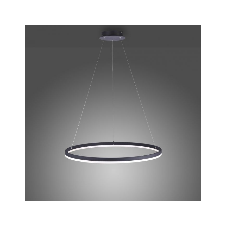 Paul Neuhaus 2383-13 - LED pendel dæmpbar TITUS LED/50W/230V