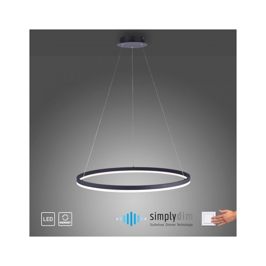 Paul Neuhaus 2383-13 - LED pendel dæmpbar TITUS LED/50W/230V