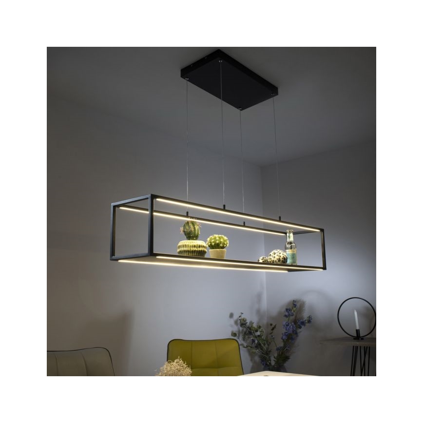 Paul Neuhaus 2441-18 - LED pendel dæmpbar CONTURA 4xLED/8W/230V