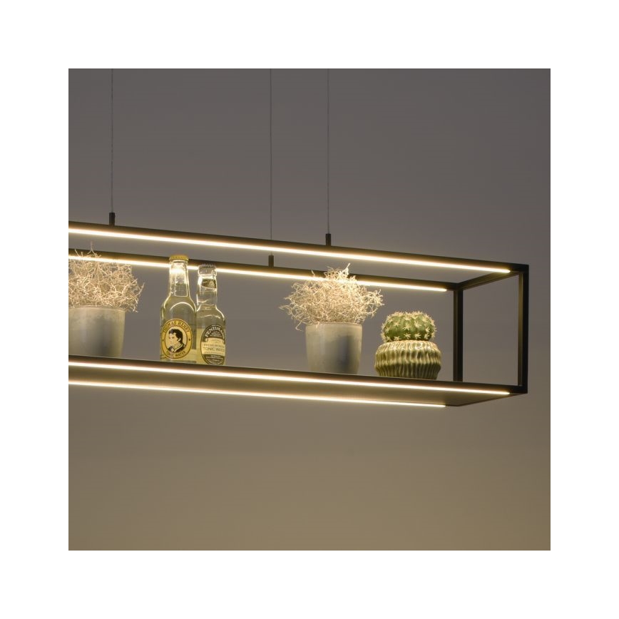 Paul Neuhaus 2441-18 - LED pendel dæmpbar CONTURA 4xLED/8W/230V