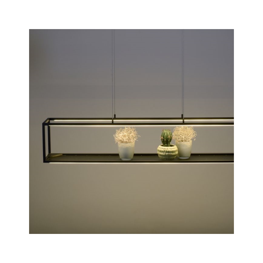 Paul Neuhaus 2441-18 - LED pendel dæmpbar CONTURA 4xLED/8W/230V