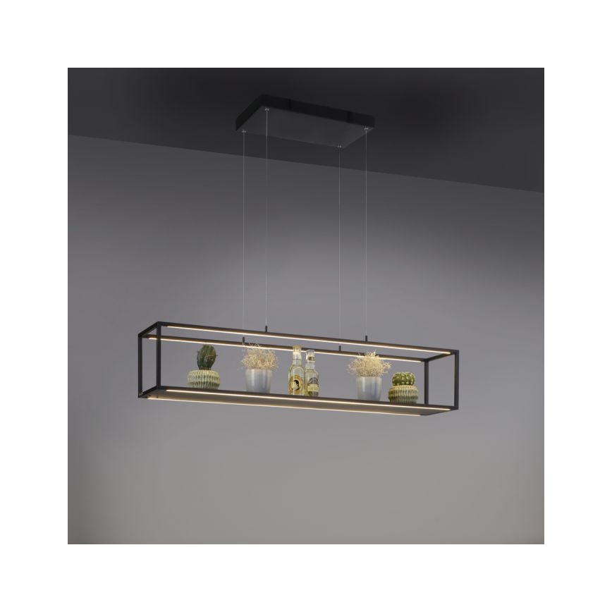 Paul Neuhaus 2441-18 - LED pendel dæmpbar CONTURA 4xLED/8W/230V