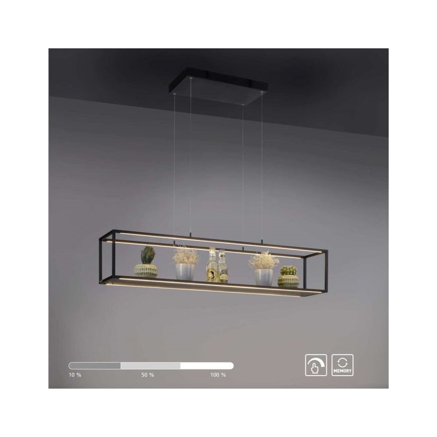 Paul Neuhaus 2441-18 - LED pendel dæmpbar CONTURA 4xLED/8W/230V