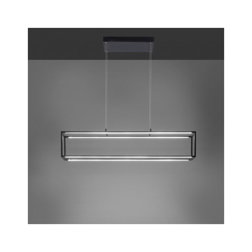 Paul Neuhaus 2441-18 - LED pendel dæmpbar CONTURA 4xLED/8W/230V