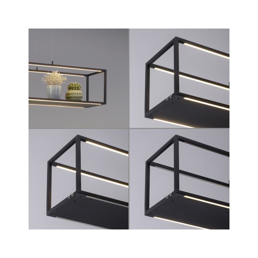 Paul Neuhaus 2441-18 - LED pendel dæmpbar CONTURA 4xLED/8W/230V
