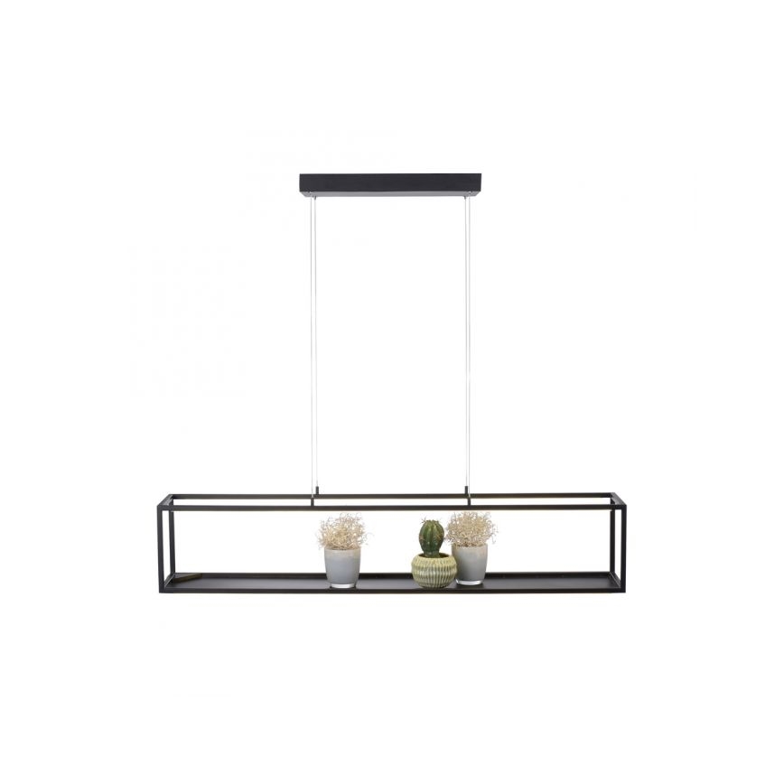 Paul Neuhaus 2441-18 - LED pendel dæmpbar CONTURA 4xLED/8W/230V