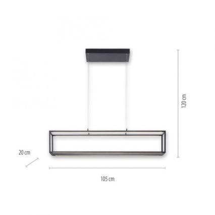 Paul Neuhaus 2441-18 - LED pendel dæmpbar CONTURA 4xLED/8W/230V