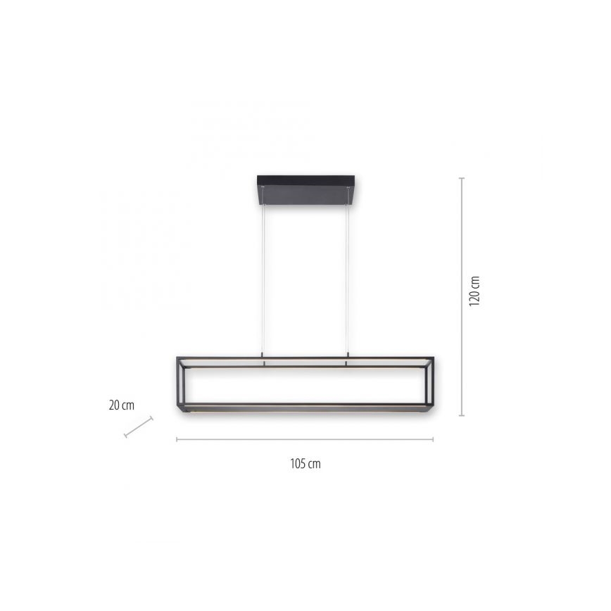 Paul Neuhaus 2441-18 - LED pendel dæmpbar CONTURA 4xLED/8W/230V