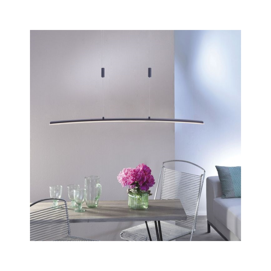 Paul Neuhaus 2530-13 - LED pendel dæmpbar JANINA LED/27W/230V