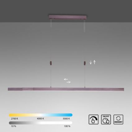 Paul Neuhaus 2568-24 - LED pendel dæmpbar ADRIANA LED/14W/230V 2700-5000K