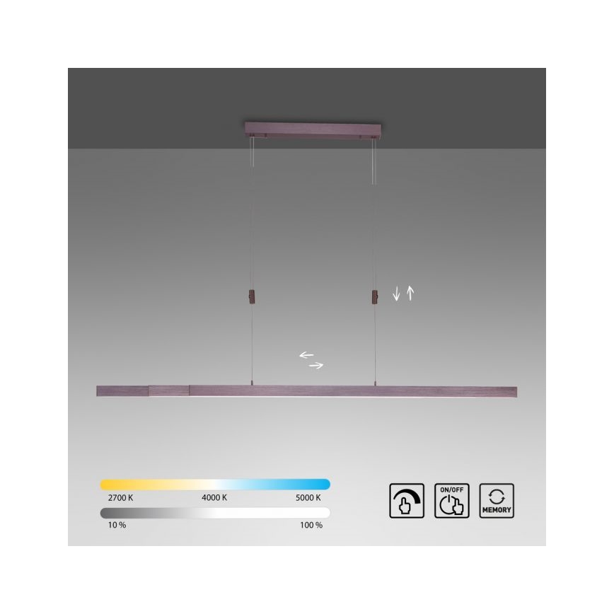 Paul Neuhaus 2568-24 - LED pendel dæmpbar ADRIANA LED/14W/230V 2700-5000K