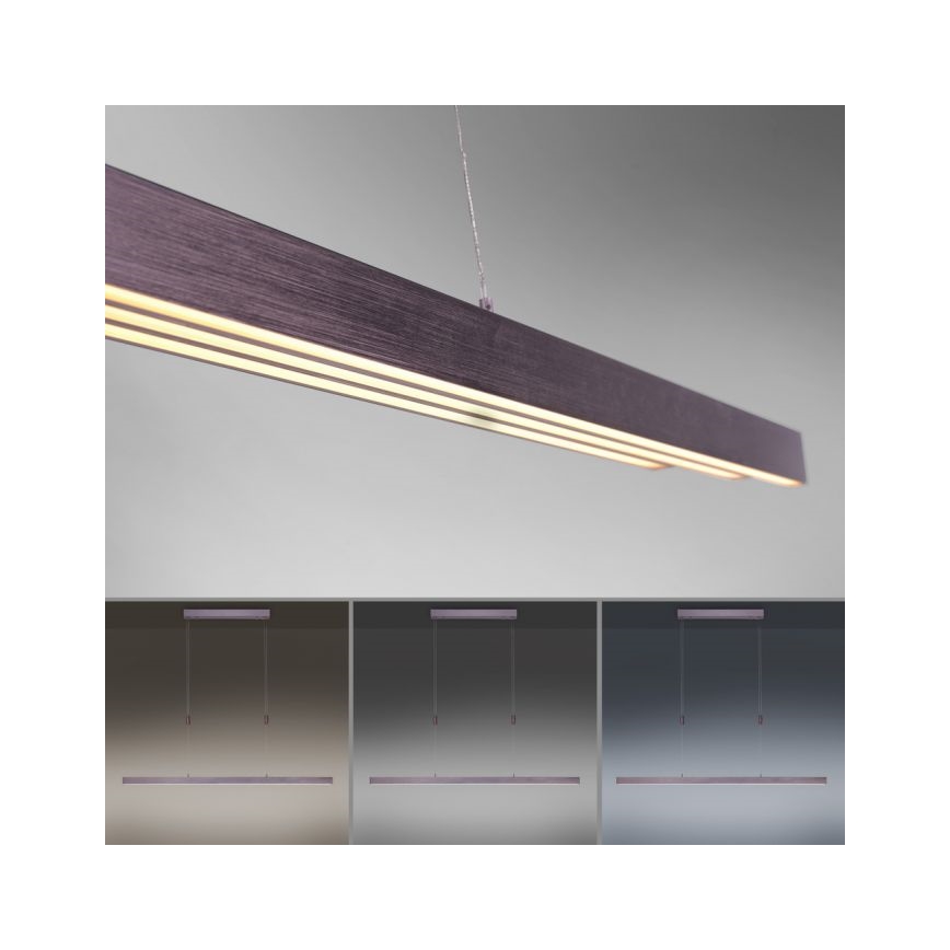 Paul Neuhaus 2568-24 - LED pendel dæmpbar ADRIANA LED/14W/230V 2700-5000K