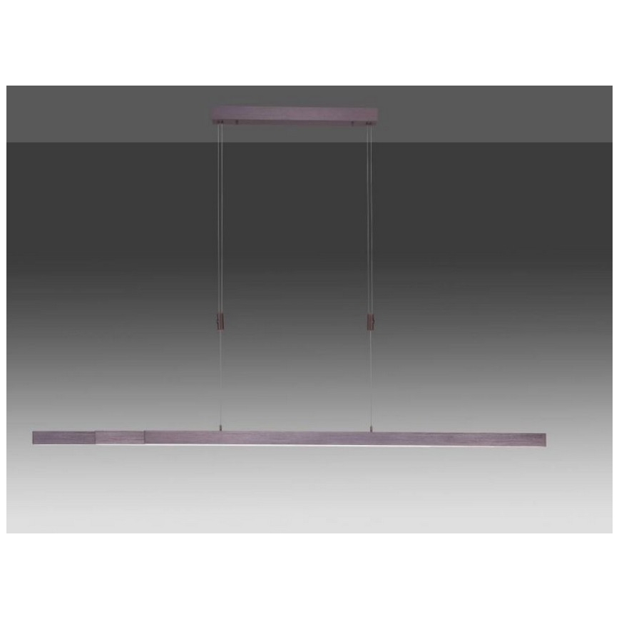 Paul Neuhaus 2568-24 - LED pendel dæmpbar ADRIANA LED/14W/230V 2700-5000K
