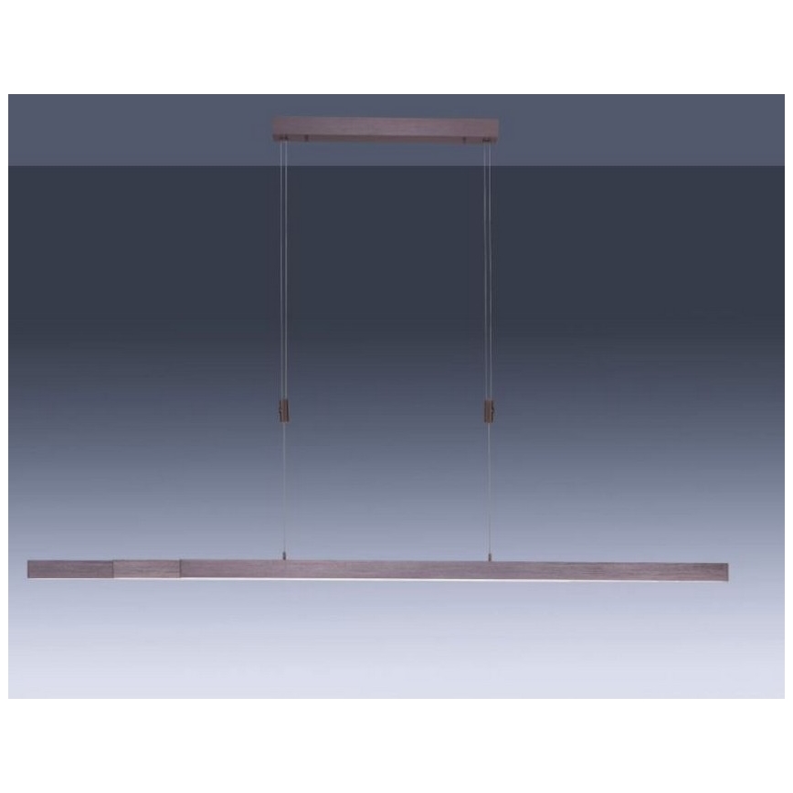 Paul Neuhaus 2568-24 - LED pendel dæmpbar ADRIANA LED/14W/230V 2700-5000K