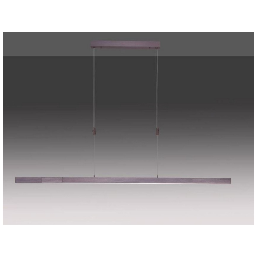 Paul Neuhaus 2568-24 - LED pendel dæmpbar ADRIANA LED/14W/230V 2700-5000K