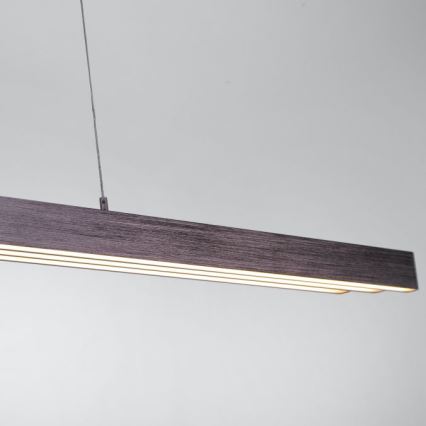 Paul Neuhaus 2568-24 - LED pendel dæmpbar ADRIANA LED/14W/230V 2700-5000K