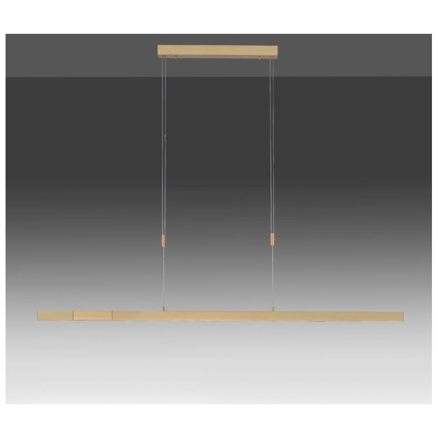 Paul Neuhaus 2568-60 - LED pendel dæmpbar ADRIANA LED/14W/230V  2700-5000K messing