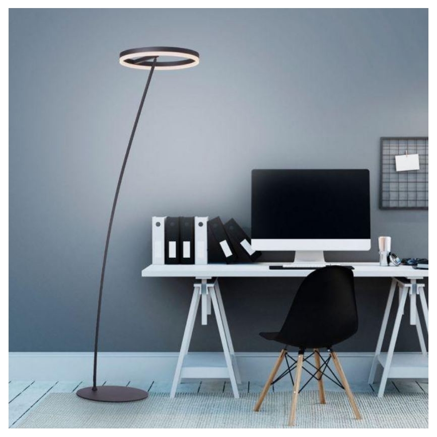 Paul Neuhaus 381-13 - LED gulvlampe dæmpbar TITUS LED/19,5W/230V