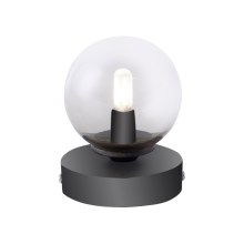 Paul Neuhaus 4039-18 - LED bordlampe WIDOW 1xG9/3W/230V