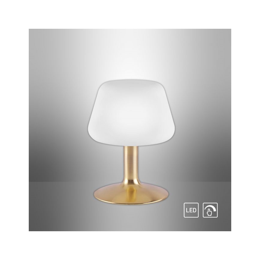 Paul Neuhaus 4078-60 - LED bordlampe m. touch-funktion dæmpbar TILL 1xG9/3W/230V messing